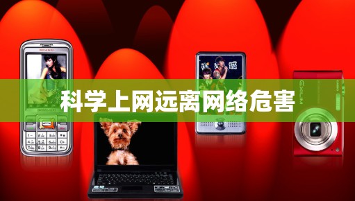 科学上网远离网络危害