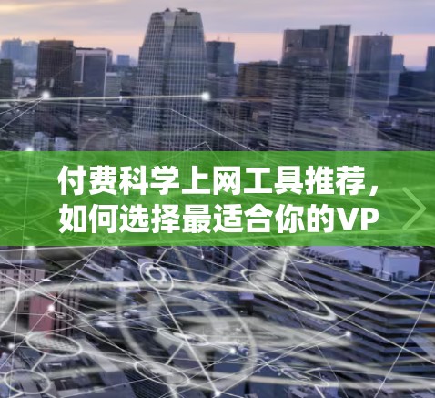付费科学上网工具推荐，如何选择最适合你的VPN服务