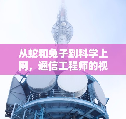 从蛇和兔子到科学上网，通信工程师的视角解析网络优化与安全访问