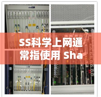 SS科学上网通常指使用 Shadowsocks（SS）代理工具进行网络加速或翻墙。如果遇到 Timeout（连接超时）问题，可能是以下原因导致的。以下是排查和解决方法