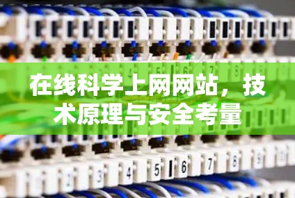 在线科学上网网站，技术原理与安全考量