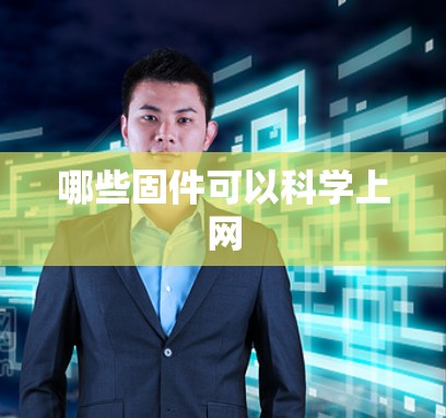 哪些固件可以科学上网