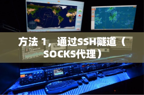 方法 1，通过SSH隧道（SOCKS代理）