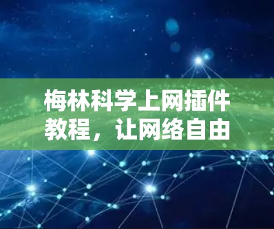 梅林科学上网插件教程,让网络自由触手可及