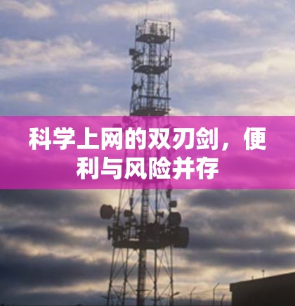 科学上网的双刃剑，便利与风险并存