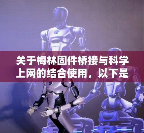 关于梅林固件桥接与科学上网的结合使用,以下是关键信息整理 关于梅林固件桥接与科学上网的结合使用,以下是关键信息整理