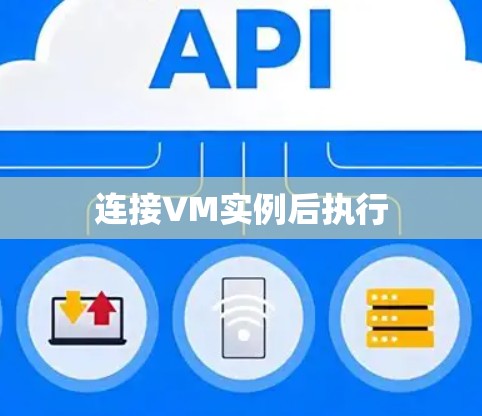 连接VM实例后执行