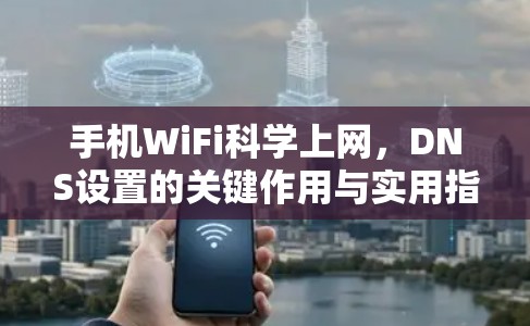 手机WiFi科学上网,DNS设置的关键作用与实用指南