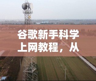 谷歌新手科学上网教程,从零开始掌握安全上网技巧