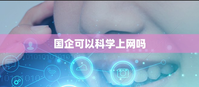 国企可以科学上网吗